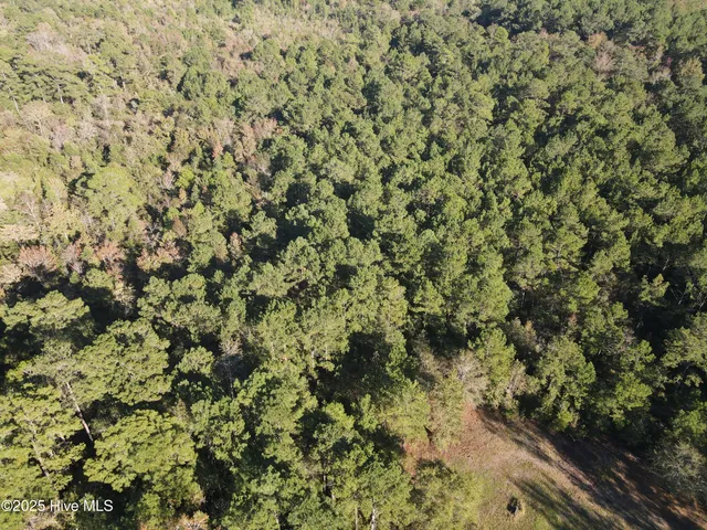 $160,000 | 282 James E Moore Road, Currie, NC 28435