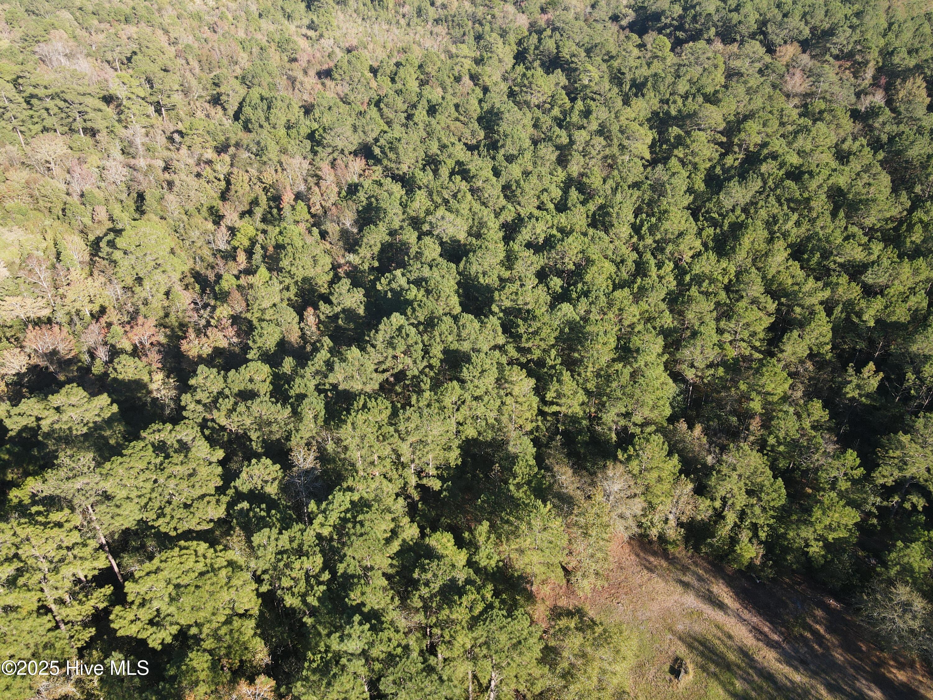 282 James E Moore Road Currie, NC 28435 - Photo 11 of 14 DJI_0262