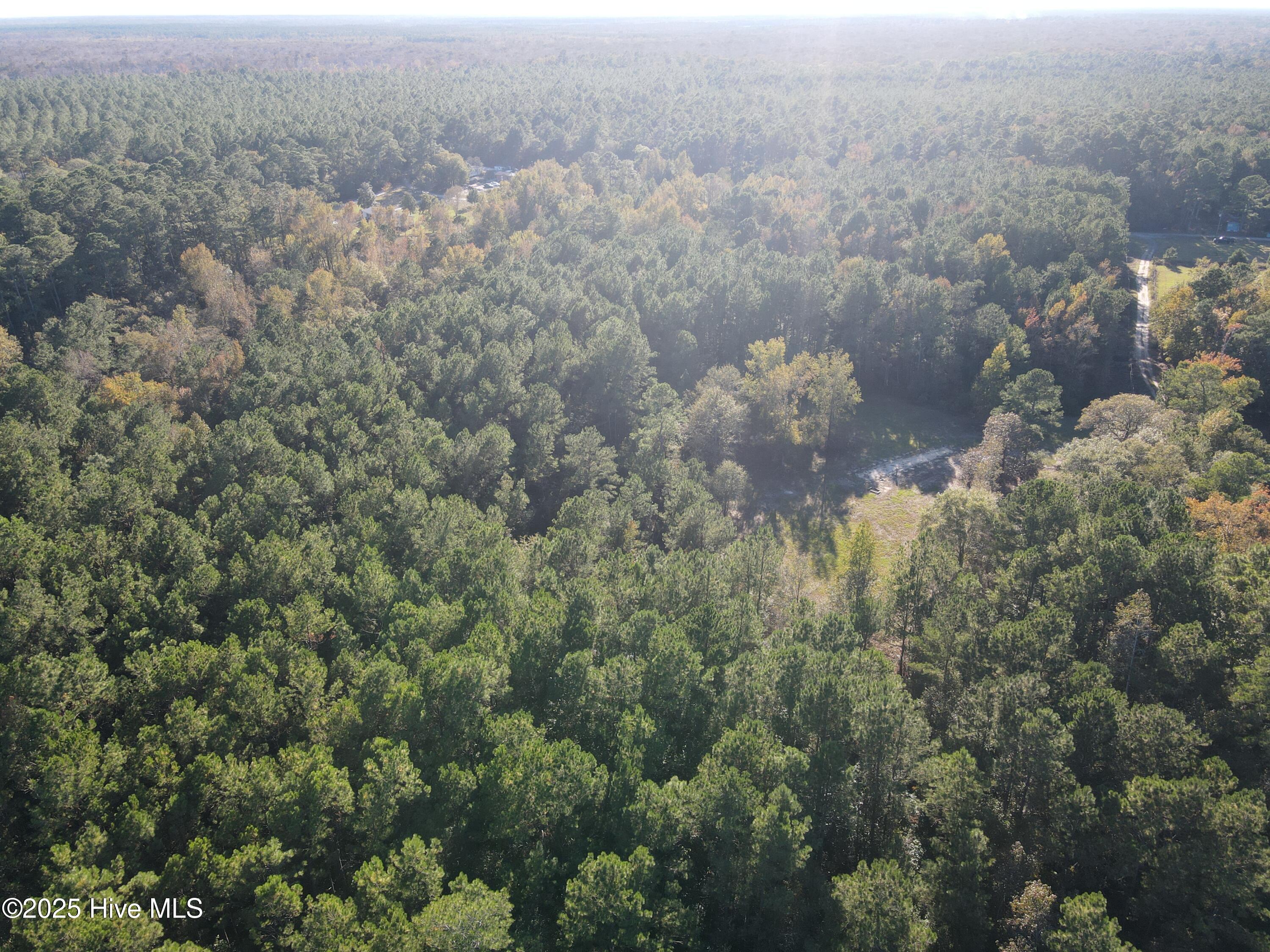 282 James E Moore Road Currie, NC 28435 - Photo 12 of 14 DJI_0260