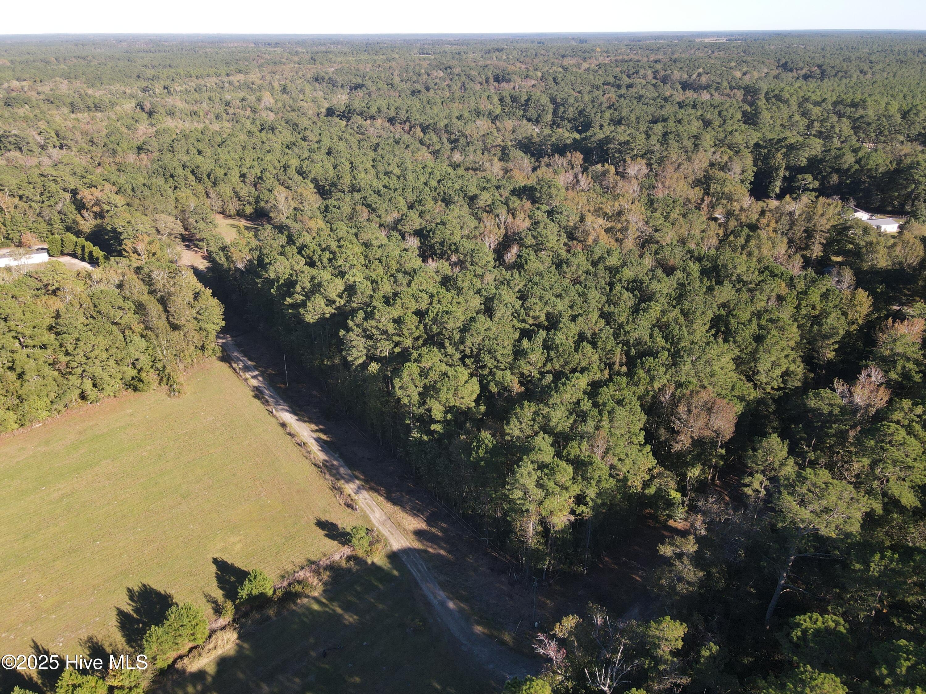 282 James E Moore Road Currie, NC 28435 - Photo 2 of 14 DJI_0251