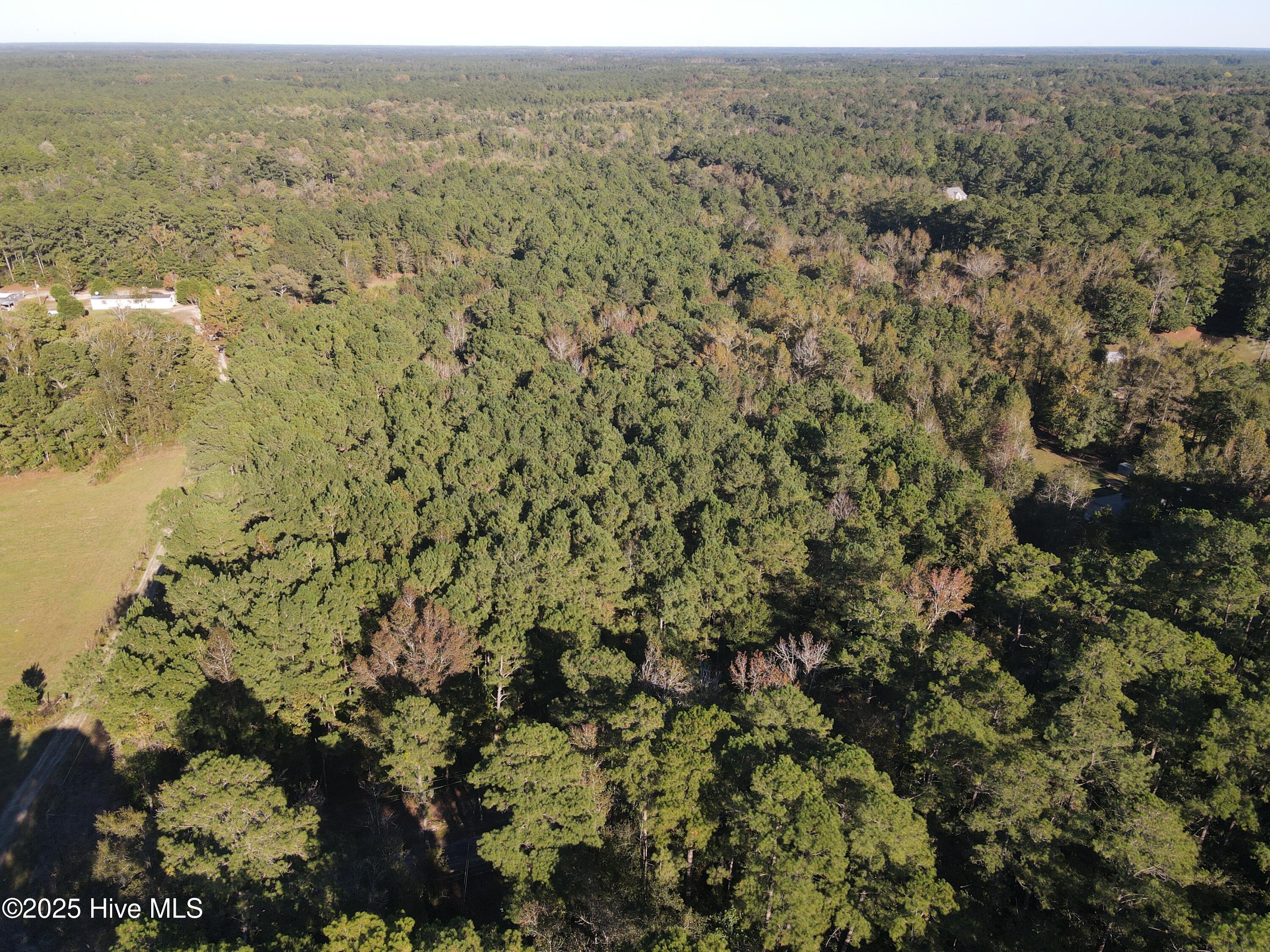 282 James E Moore Road Currie, NC 28435 - Photo 4 of 14 DJI_0252