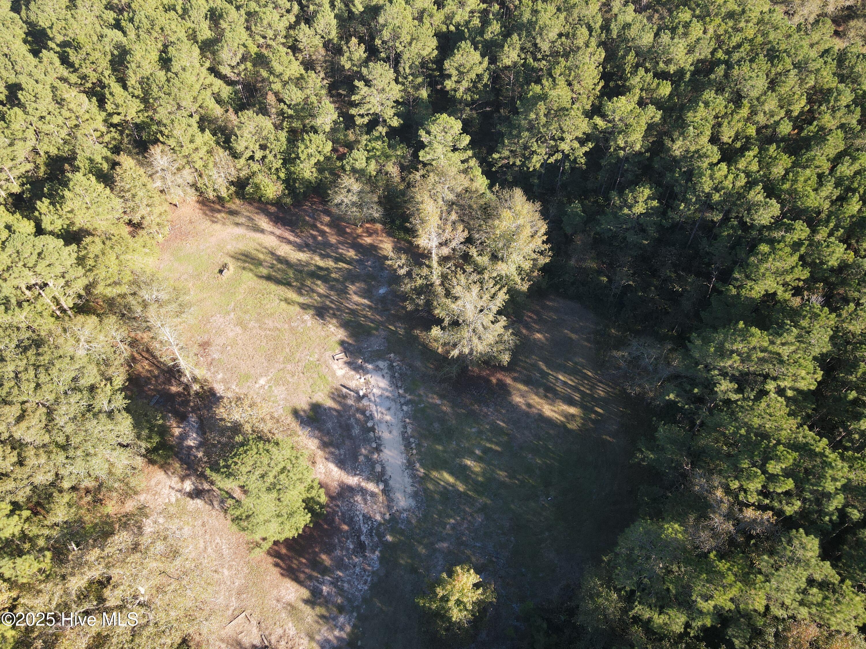 282 James E Moore Road Currie, NC 28435 - Photo 5 of 14 DJI_0256