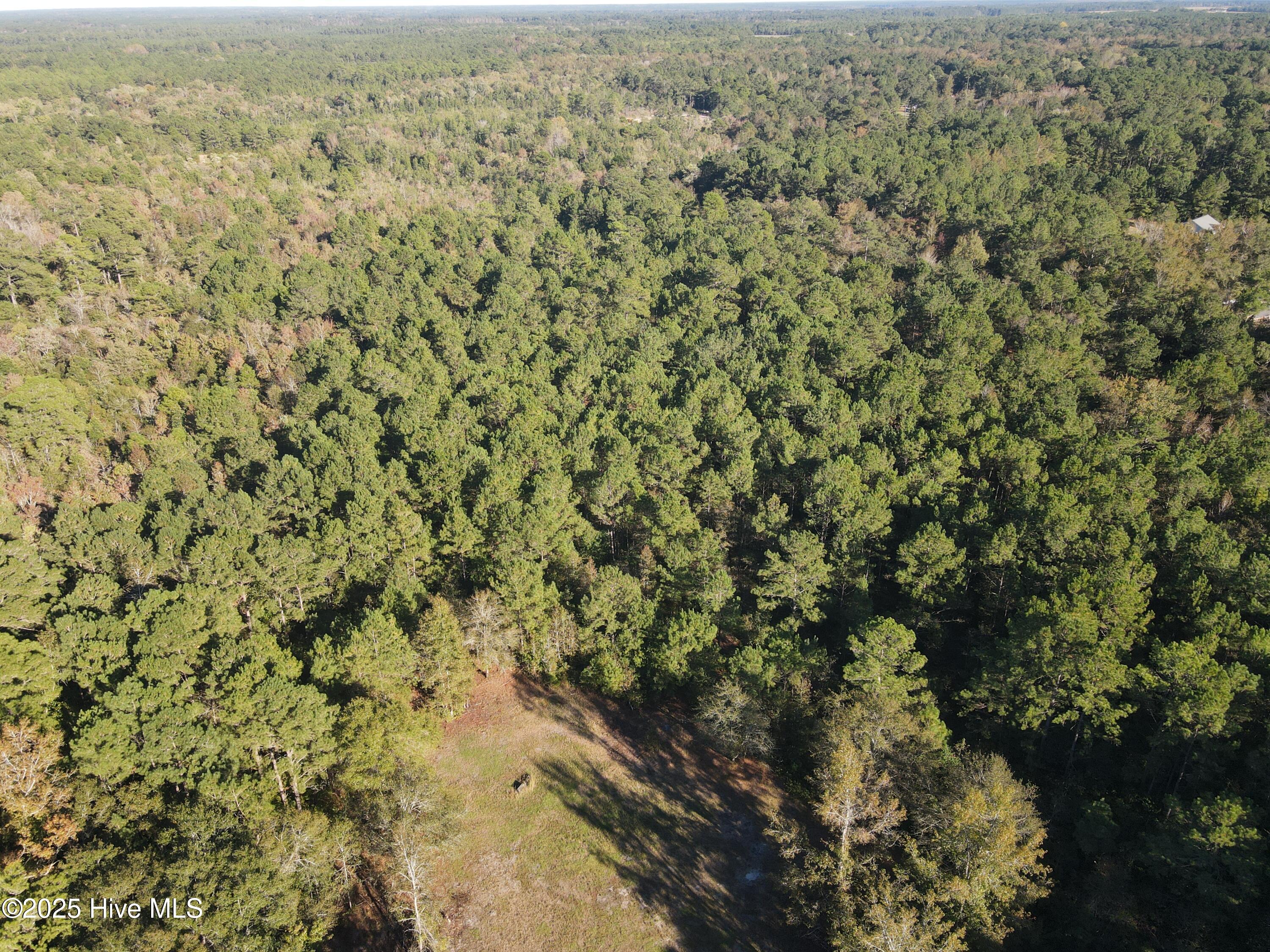 282 James E Moore Road Currie, NC 28435 - Photo 6 of 14 DJI_0257