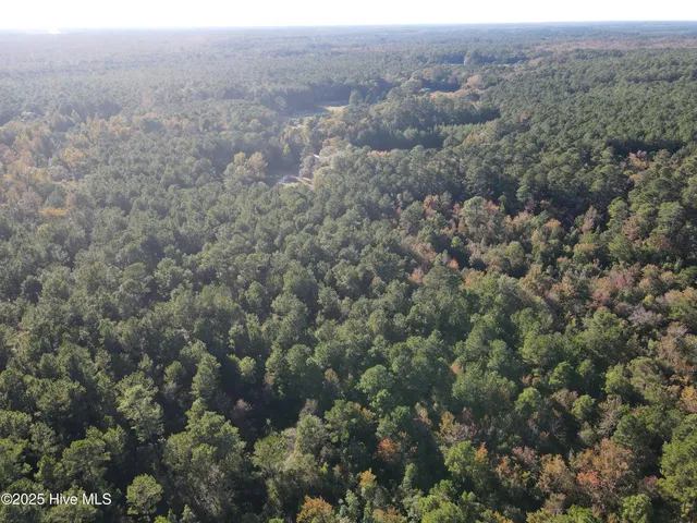 $160,000 | 282 James E Moore Road, Currie, NC 28435