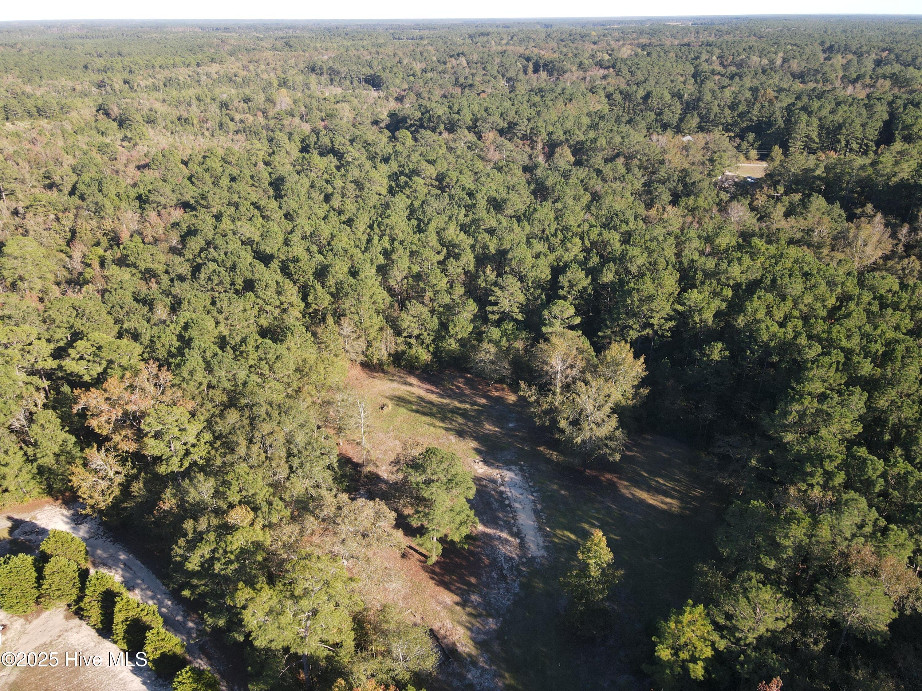 282 James E Moore Road Currie, NC 28435 - Photo 10 of 14 DJI_0263