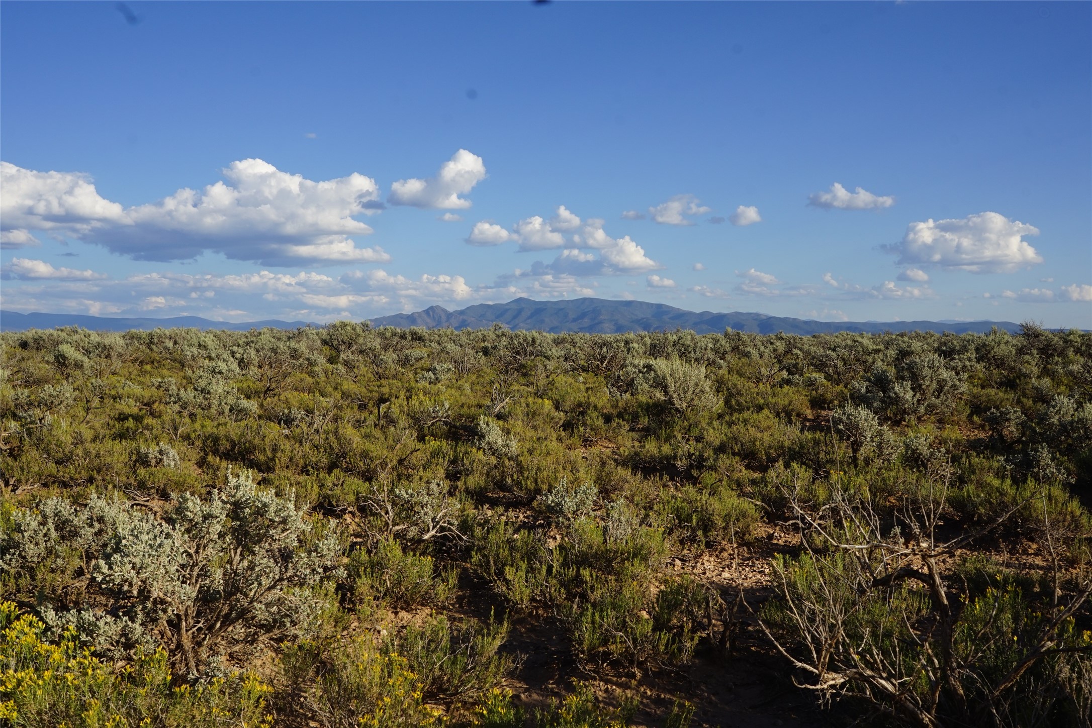 Xx Xx Rim Road Carson, NM 87517 - Photo 3 of 4