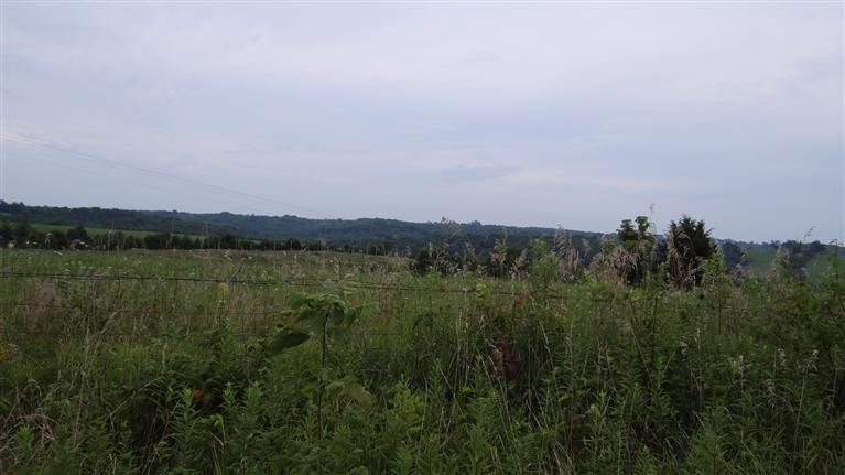 0 East Fairview Road Williamstown, KY 41097 - Photo 8 of 12 Gallery Image 8