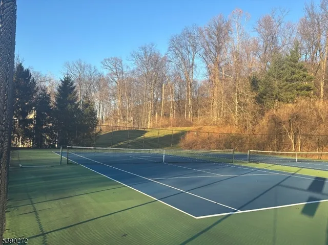 a view of tennis court
