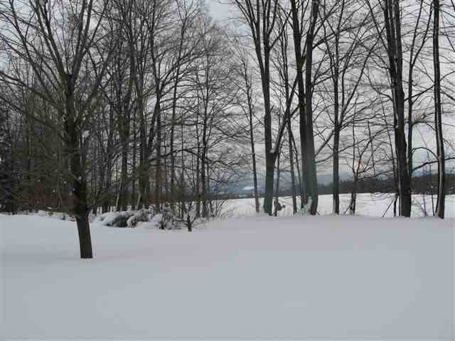 294 Lake Road Cobleskill, NY 12043 - Photo 8 of 9 Photo 8