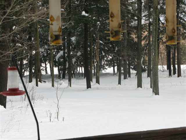 294 Lake Road Cobleskill, NY 12043 - Photo 9 of 9 Photo 9