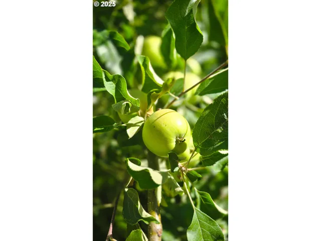 a living room with furniture a wooden floor and a large window