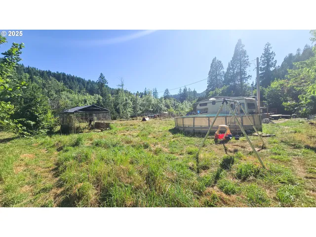 a view of a room with a tree