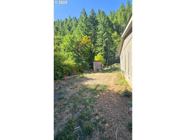 a close up of a plant in a pot