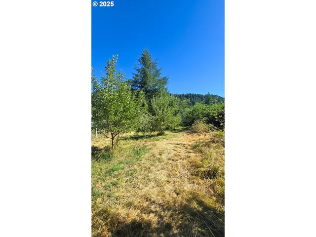 a view of a painting of a room