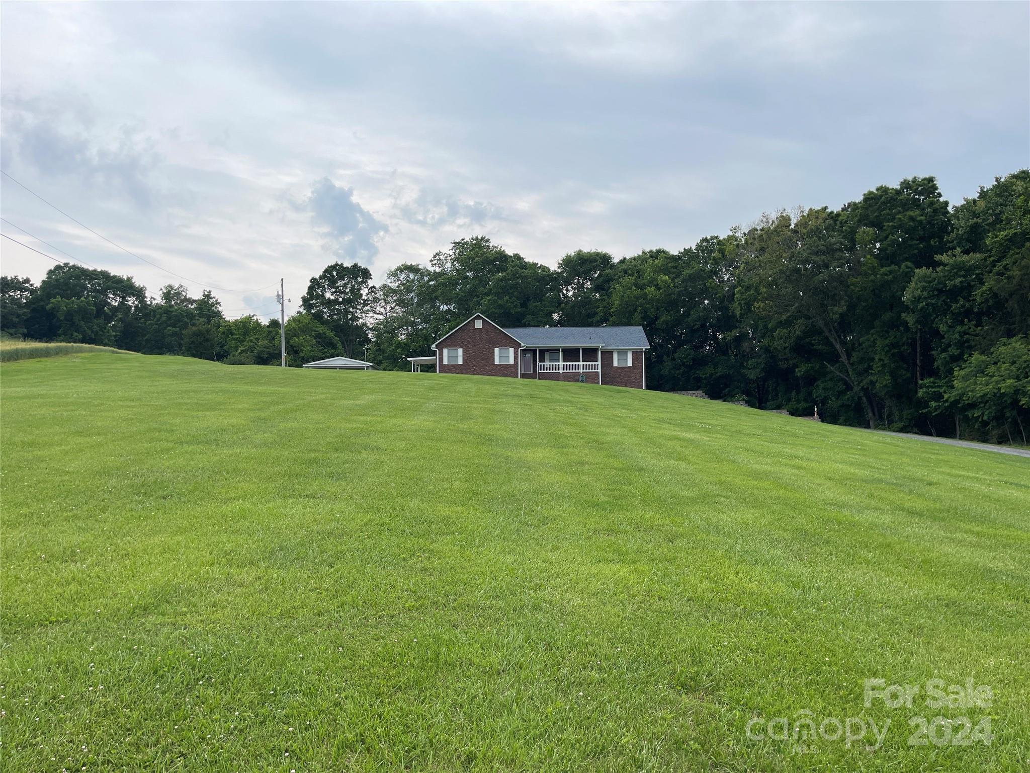 36345 Old Salisbury Road New London, NC 28127 - Photo 47 of 48 a view of a big yard with plants and large trees