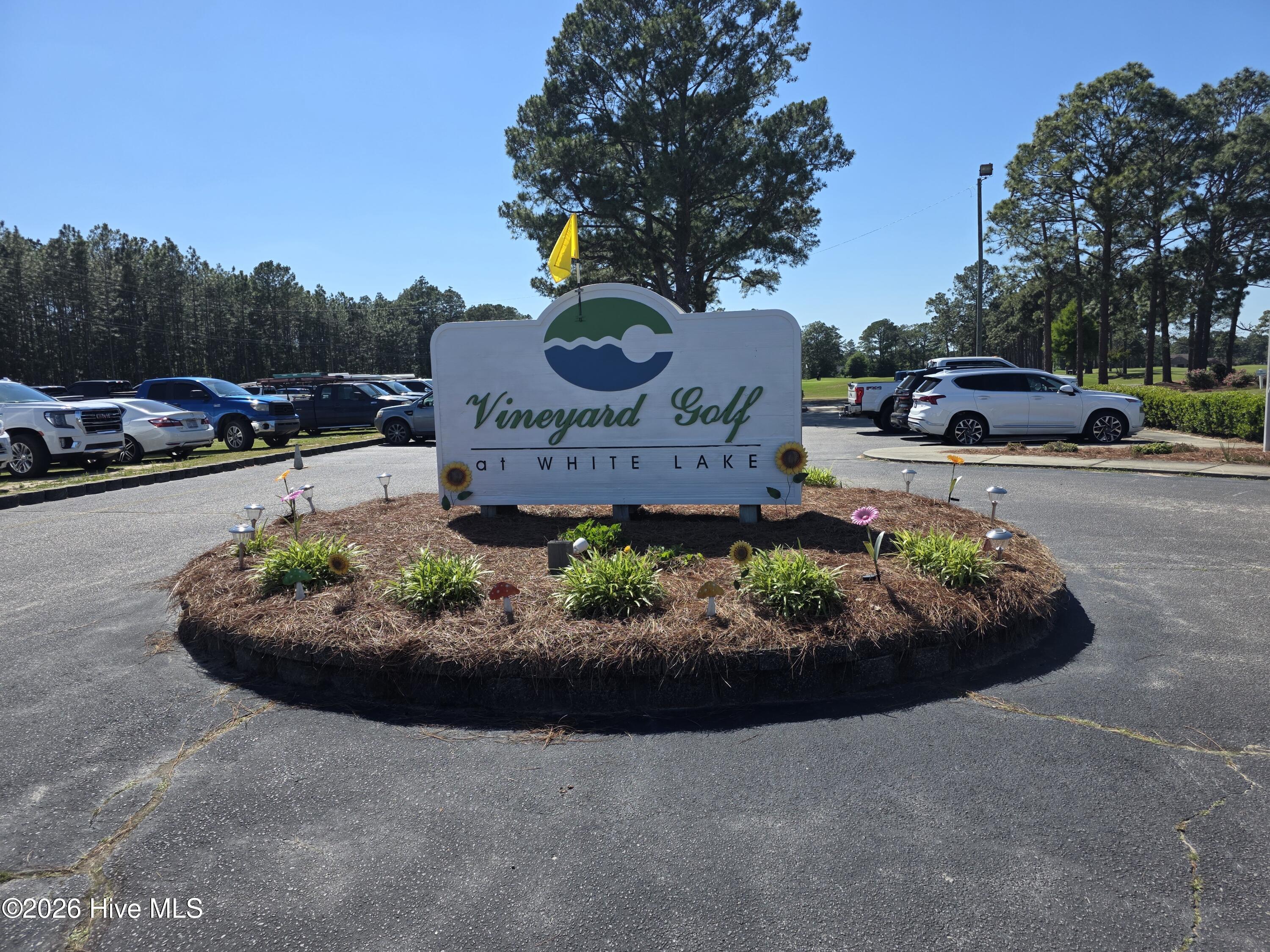 348 Dowd Dairy Road White Oak, NC 28399 - Photo 14 of 15 vineyard golf