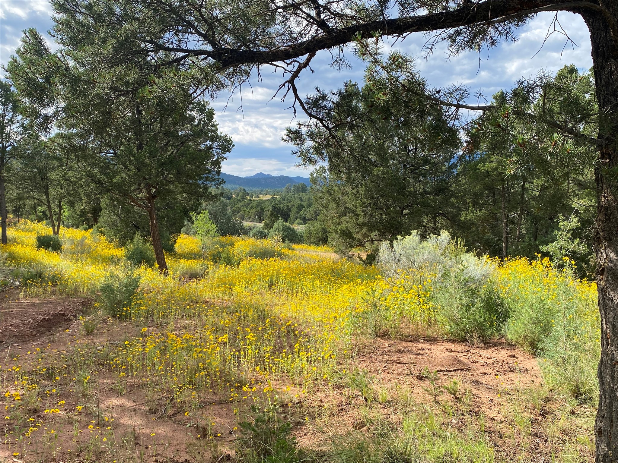 45 The Cliffs View Glorieta, NM 87535 - Photo 5 of 11