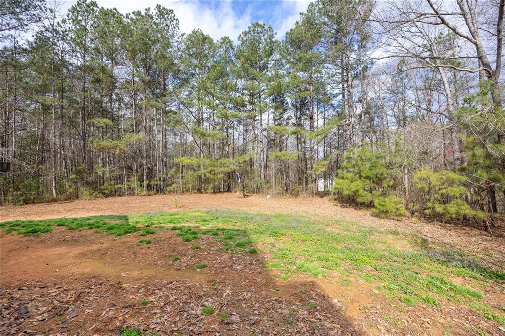 7387 Milam Road Winston, GA 30187 - Photo 36 of 41 a backyard of a house with lots of green space