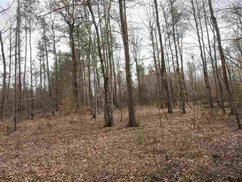 0 Highway 81 Calhoun Falls, SC 29628 - Photo 8 of 22 Gallery Image 8