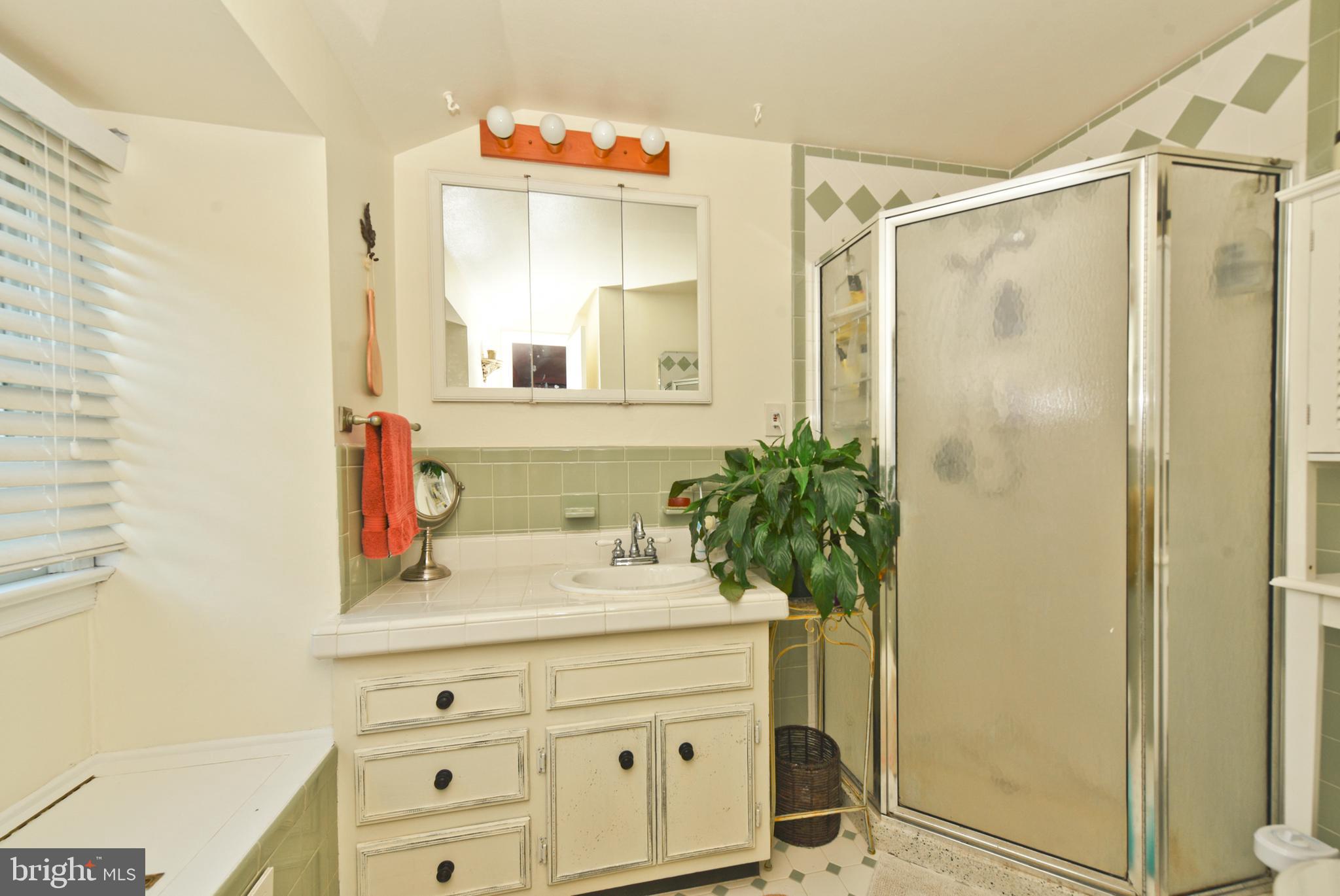 74 Mountainview Road Ewing, NJ 08628 - Photo 23 of 39 Ensuite Bath