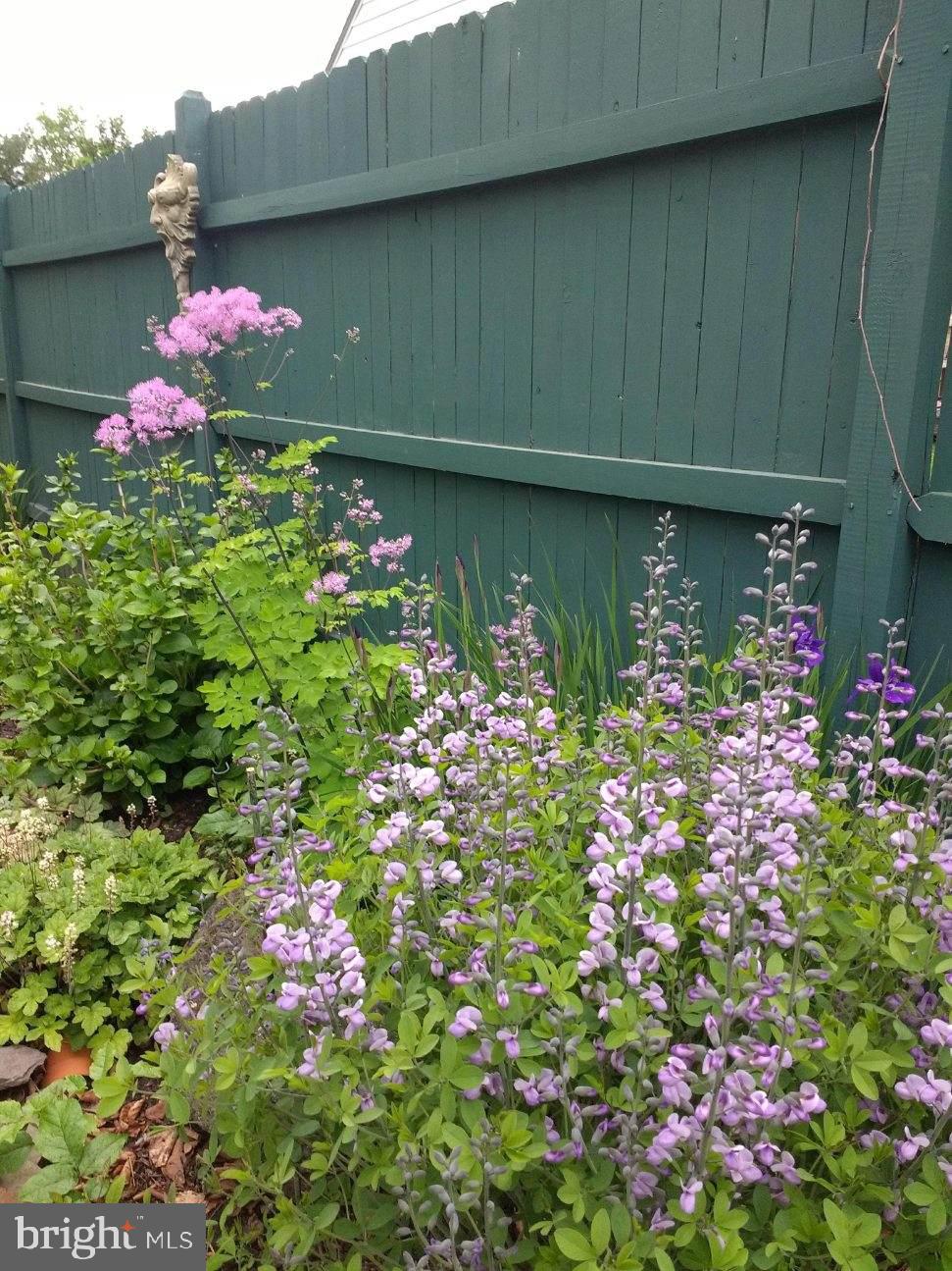 74 Mountainview Road Ewing, NJ 08628 - Photo 38 of 39 Flower Bed