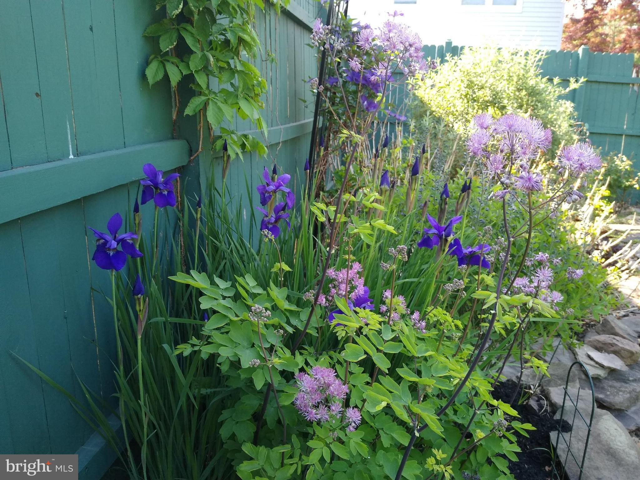 74 Mountainview Road Ewing, NJ 08628 - Photo 39 of 39 Fenced yard with flower garden