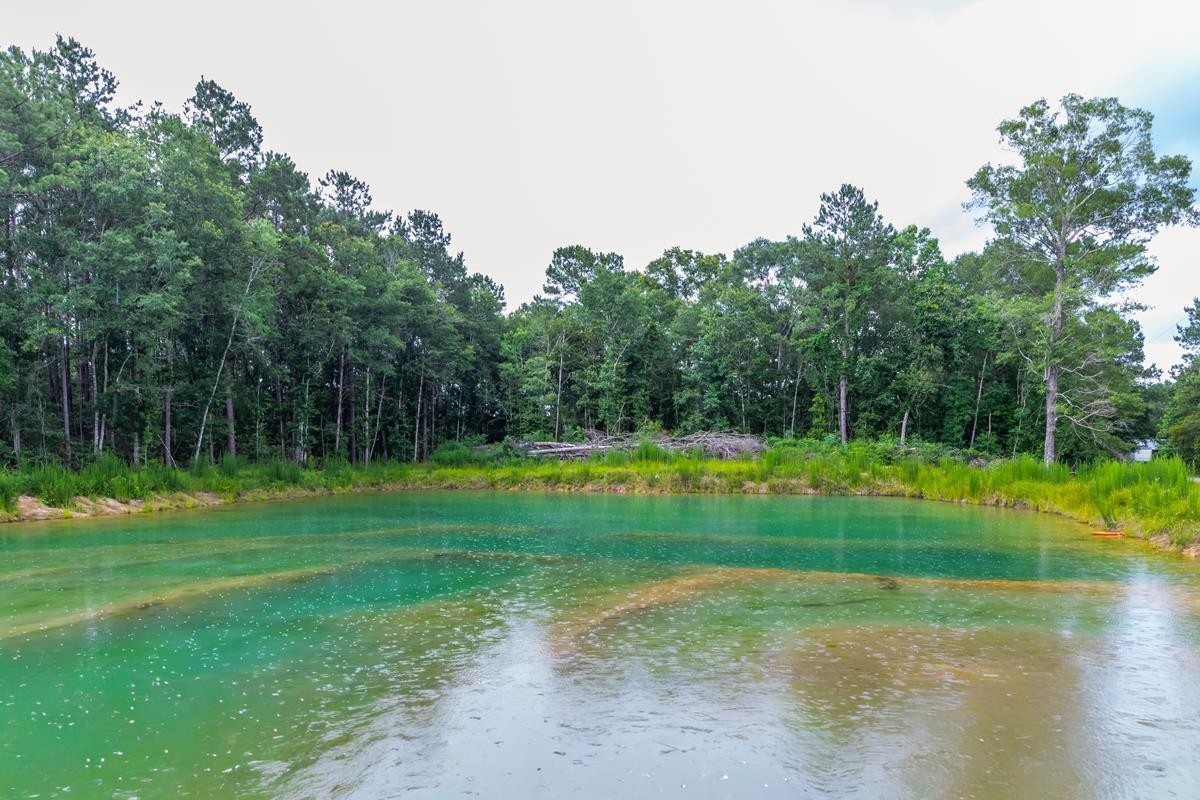 8172 North Linscomb Road Vidor, TX 77662 - Photo 25 of 25