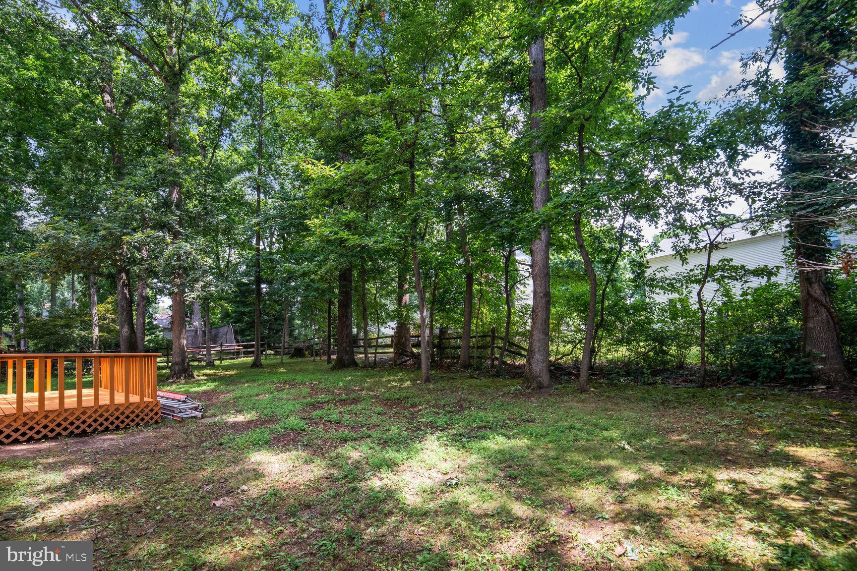 15519 Langside Street Silver Spring, MD 20905 - Photo 24 of 35 Backyard