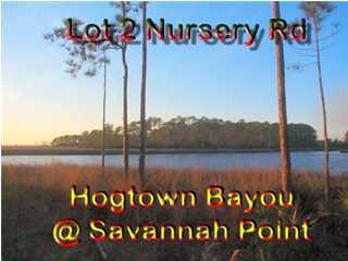Lot 2 Nursery Road Santa Rosa Beach, FL 32459 - Photo 1 of 1 Gallery Image 1