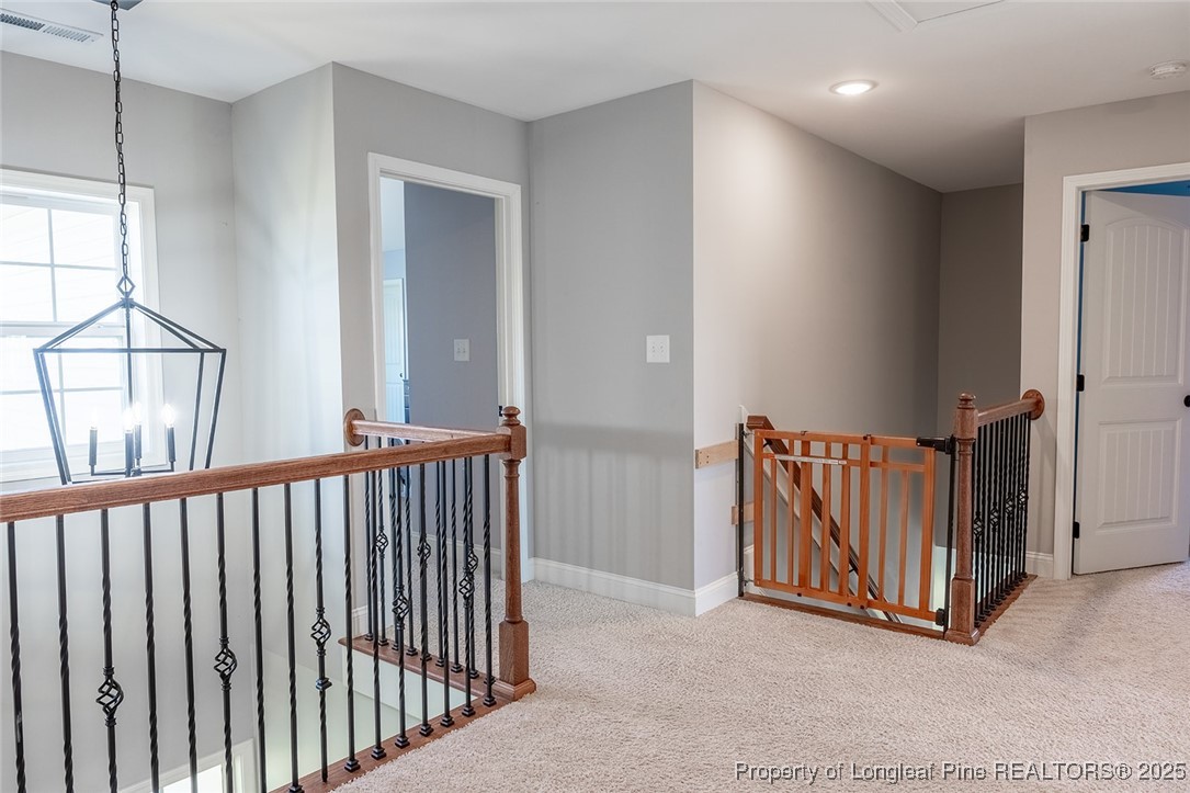 688 Townsend Road Raeford, NC 28376 - Photo 33 of 45