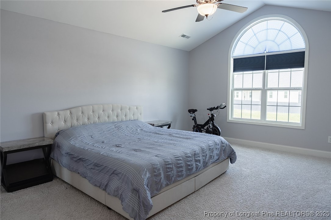 688 Townsend Road Raeford, NC 28376 - Photo 40 of 45