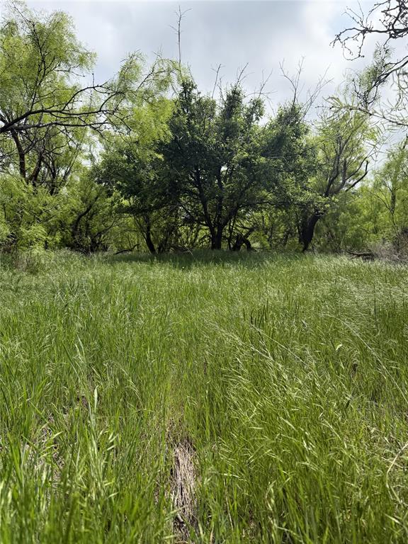 938 Fm 680 Quanah, TX 79252 - Photo 12 of 19 a view of a lush green space