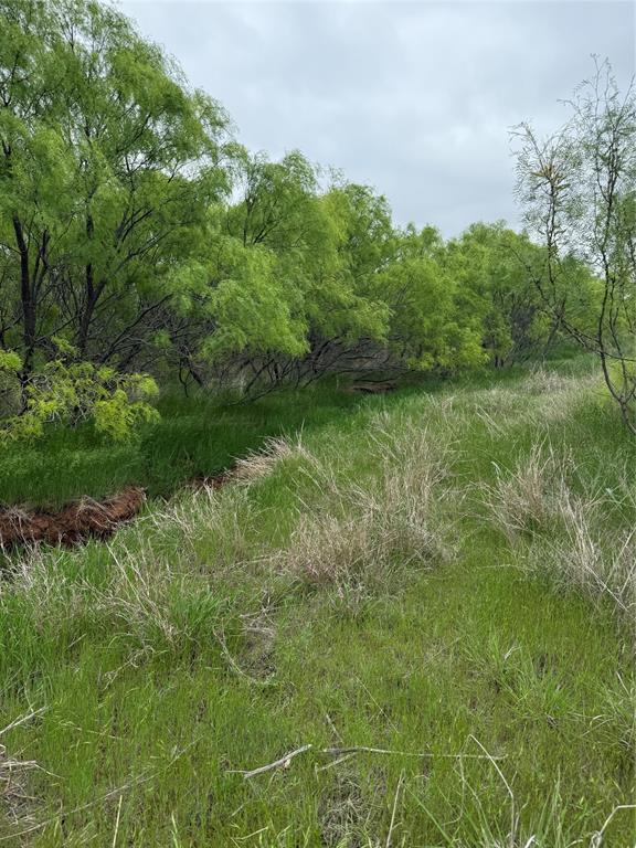 938 Fm 680 Quanah, TX 79252 - Photo 19 of 19 a view of a lush green space