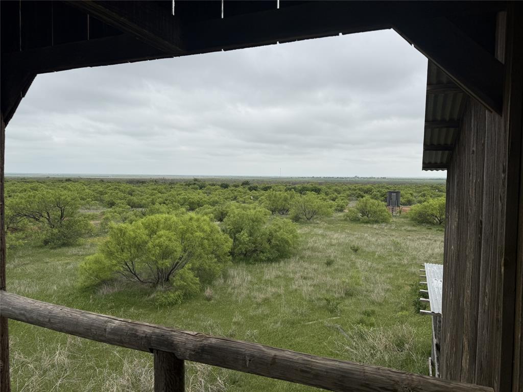 938 Fm 680 Quanah, TX 79252 - Photo 3 of 19 a view of a garden from a window