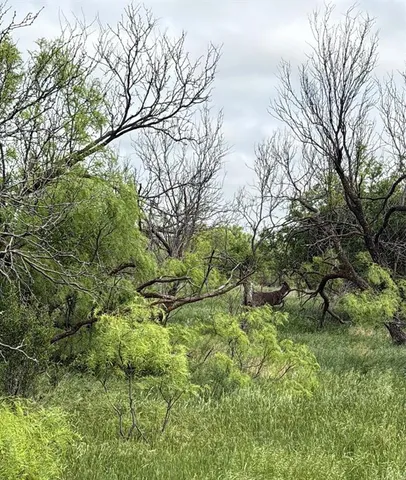 a view of lake with green space