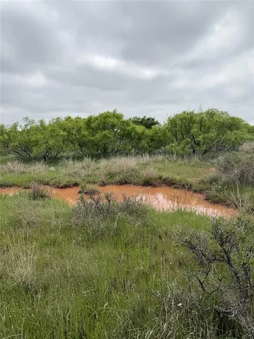 a view of a lake with houses in back