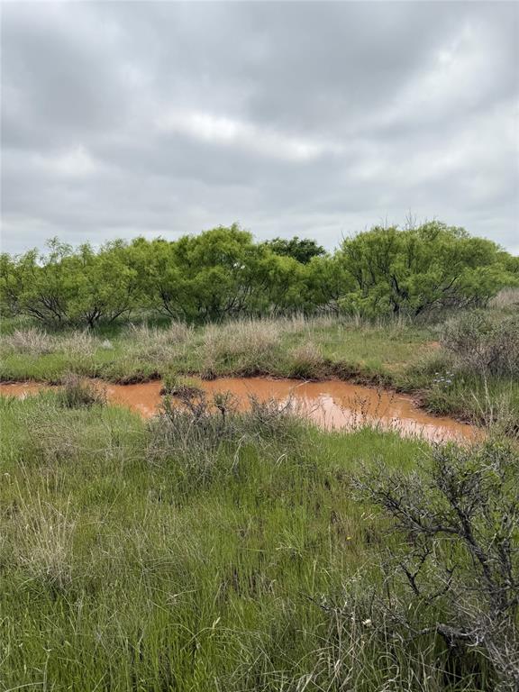 938 Fm 680 Quanah, TX 79252 - Photo 8 of 19 a view of lake with green space