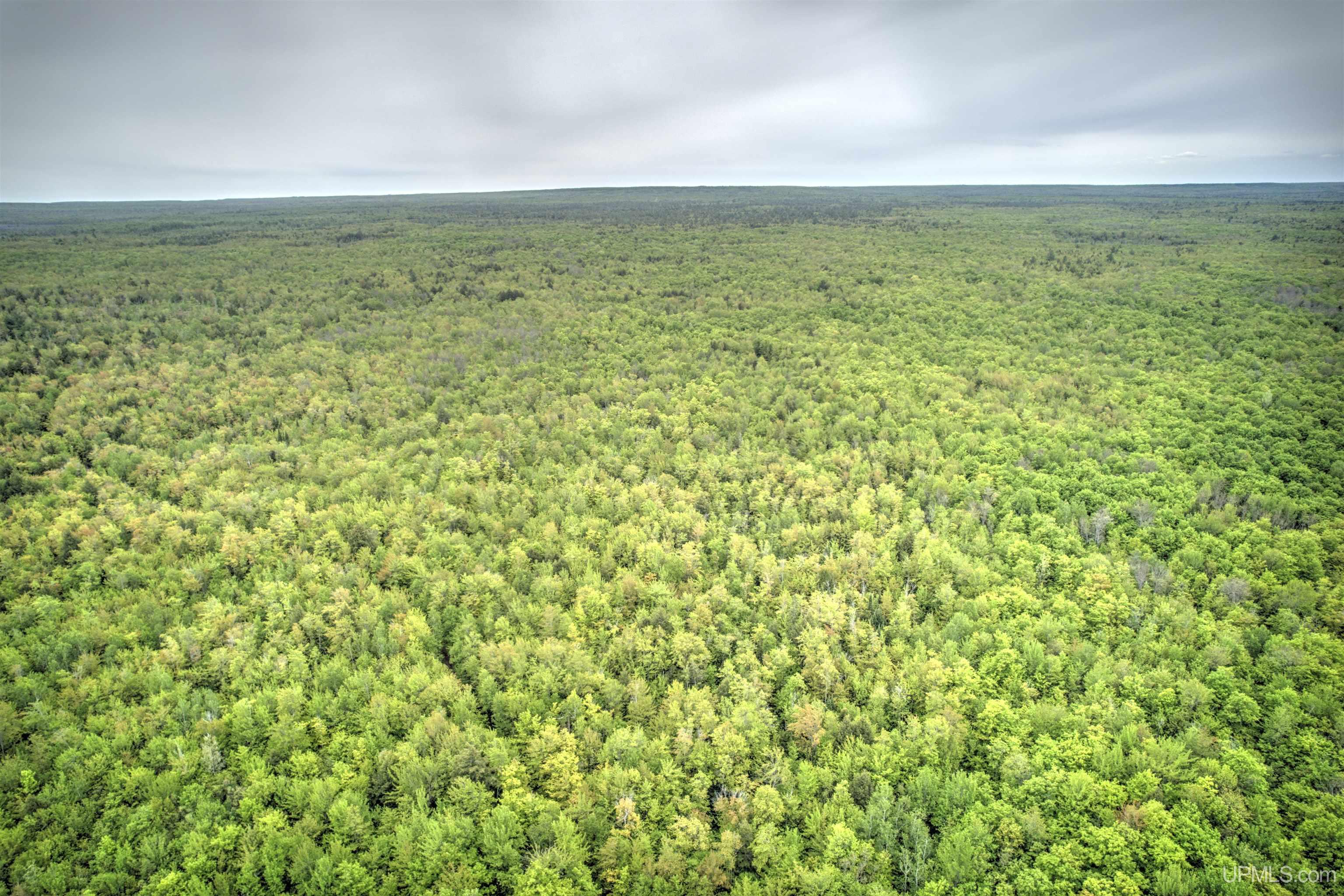 Tbd Tbd Segan Road Marquette, MI 49855 - Photo 13 of 21