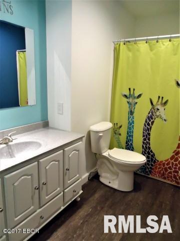 404 North Maple Street Christopher, IL 62822 - Photo 17 of 43