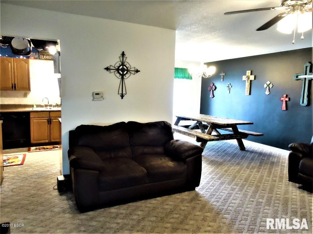 404 North Maple Street Christopher, IL 62822 - Photo 4 of 43