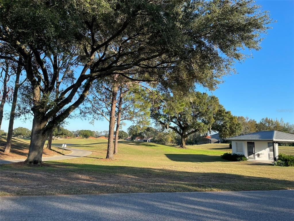 17708 Sawgrass Run Tavares, FL 32778 - Photo 57 of 79 a view of a house with a big yard