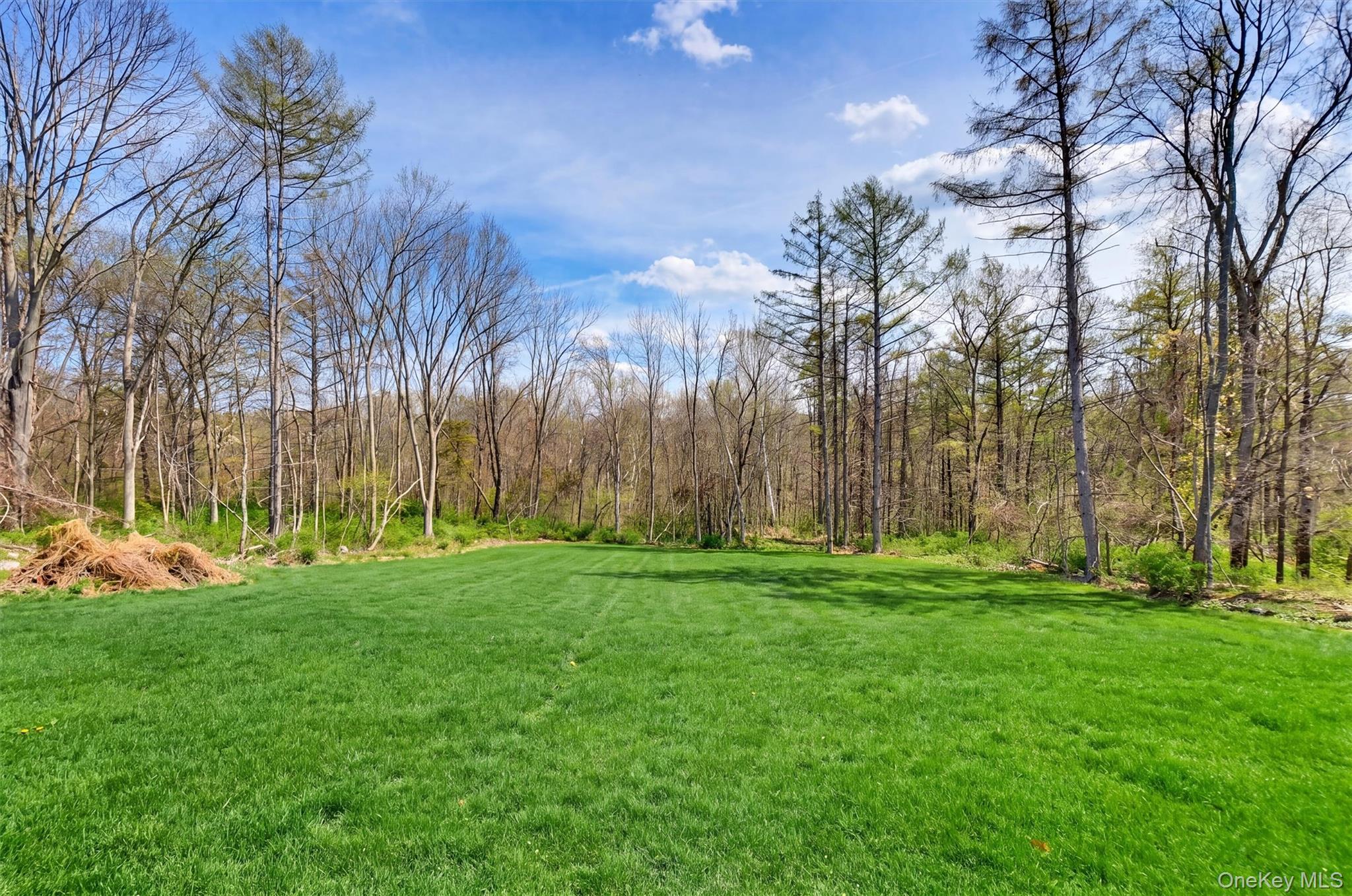 226 Buttonwood Way Hopewell Junction, NY 12533 - Photo 48 of 50