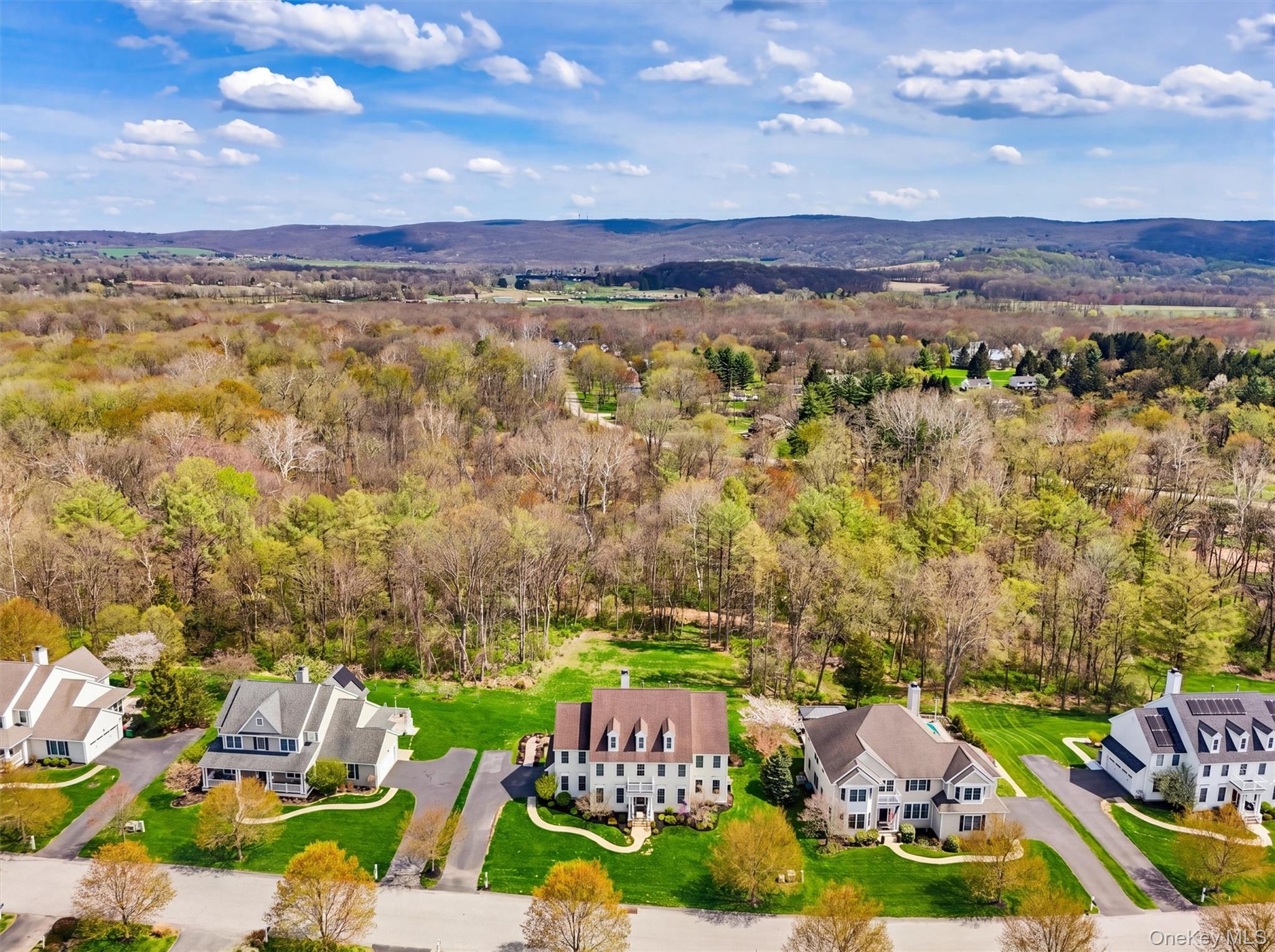 226 Buttonwood Way Hopewell Junction, NY 12533 - Photo 49 of 50