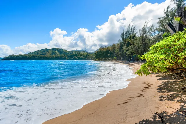 $3,995,000 | 5-7062 Kuhio Highway, Hanalei, HI 96714