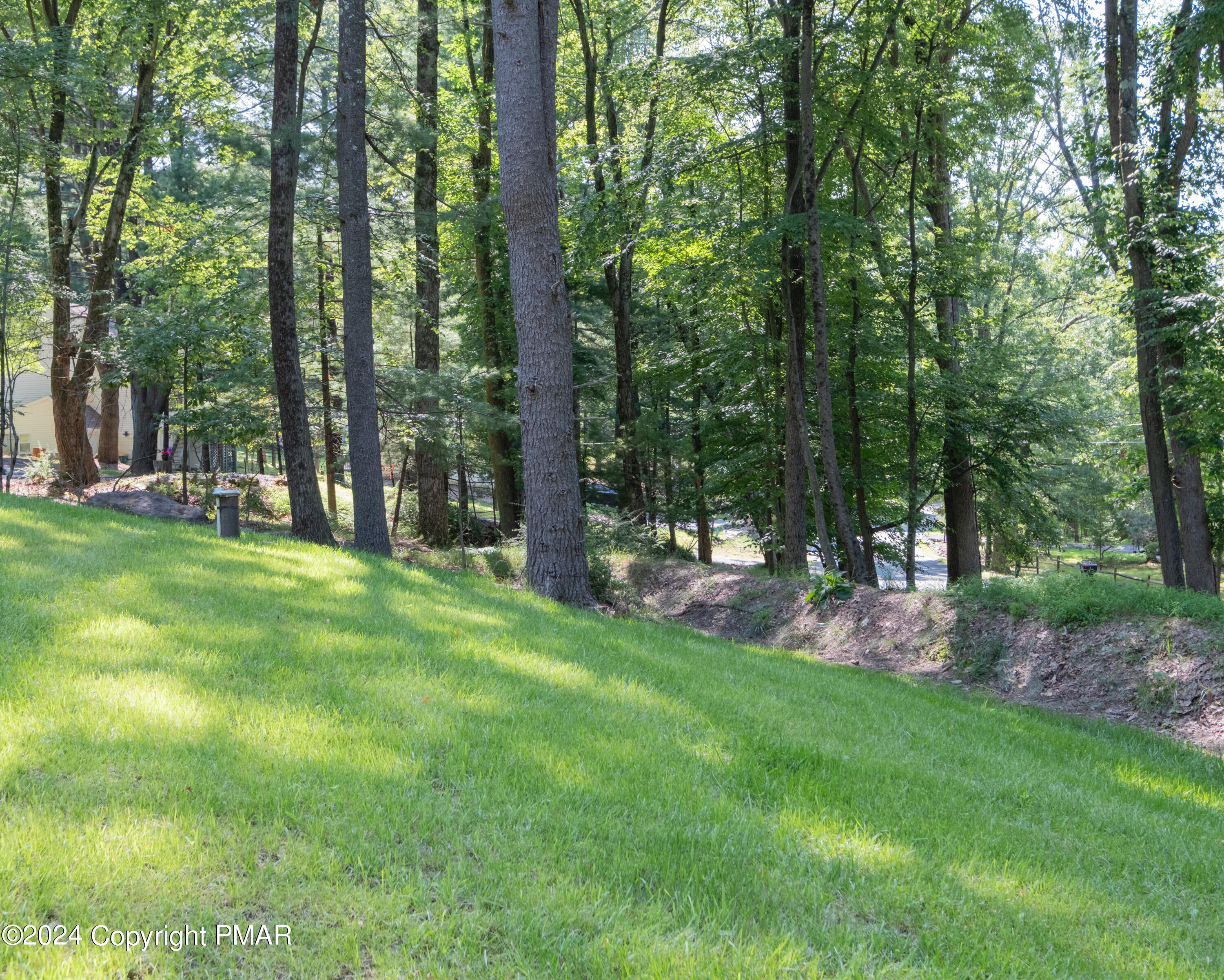 196 Alpine Lake Road Henryville, PA 18332 - Photo 10 of 52 196ALD-PS-6