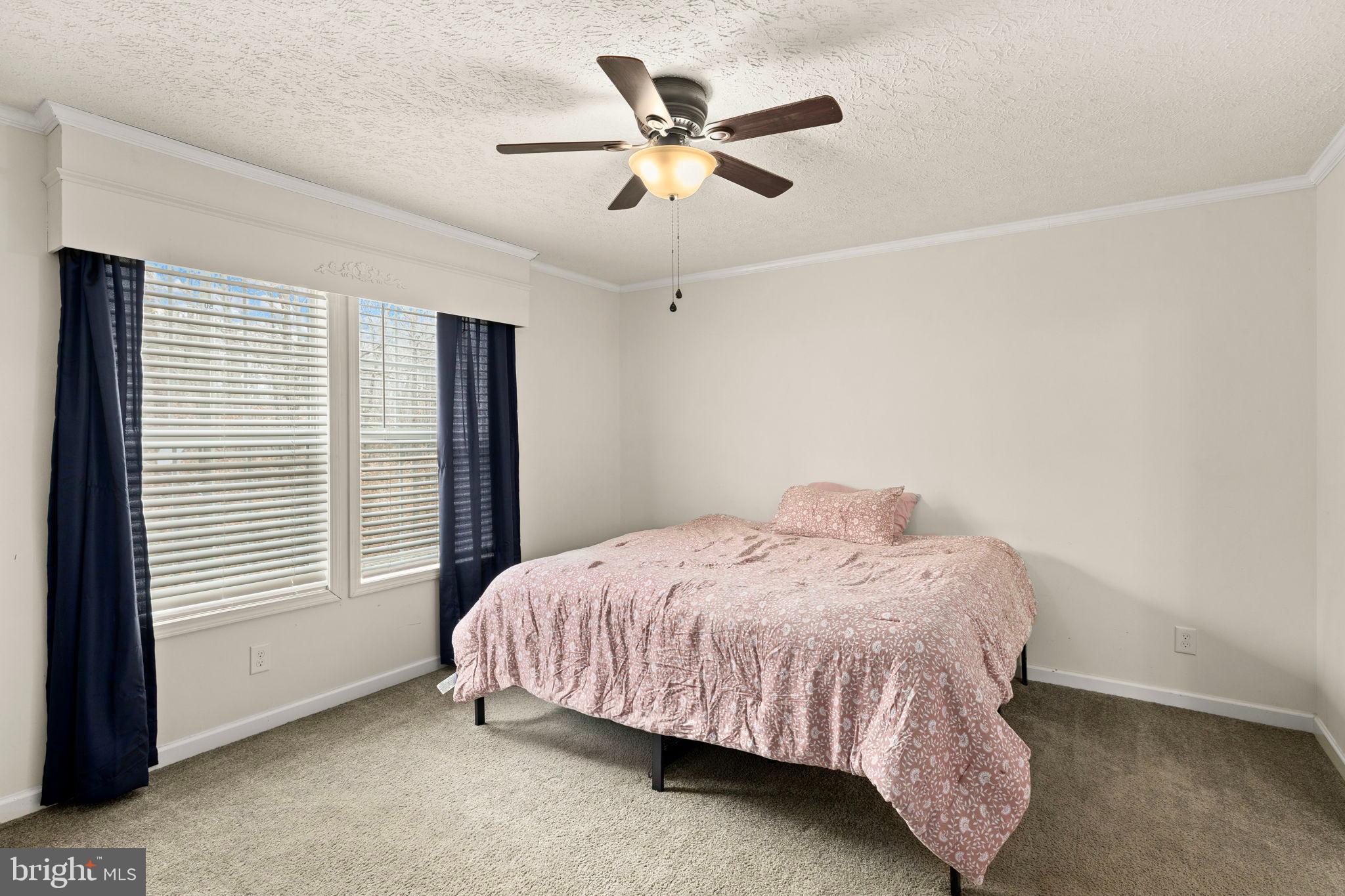 13115 Arcadia Road Woodford, VA 22580 - Photo 20 of 44 Primary Bedroom with natural light and charm.