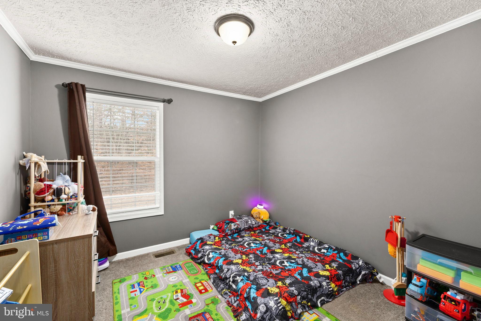 13115 Arcadia Road Woodford, VA 22580 - Photo 27 of 44 Bedroom 3