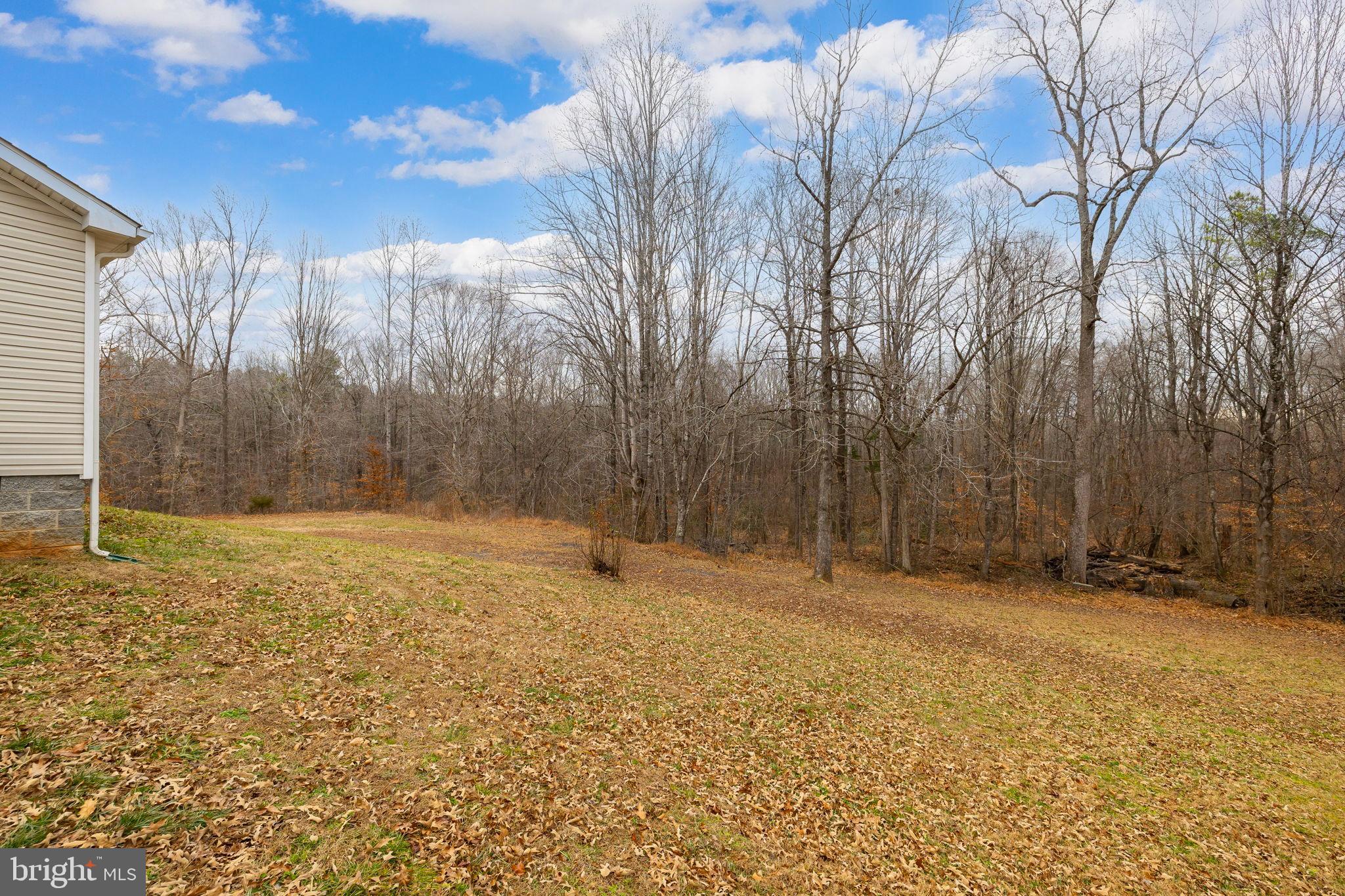 13115 Arcadia Road Woodford, VA 22580 - Photo 32 of 44 Serene wooded retreat with autumn hues.