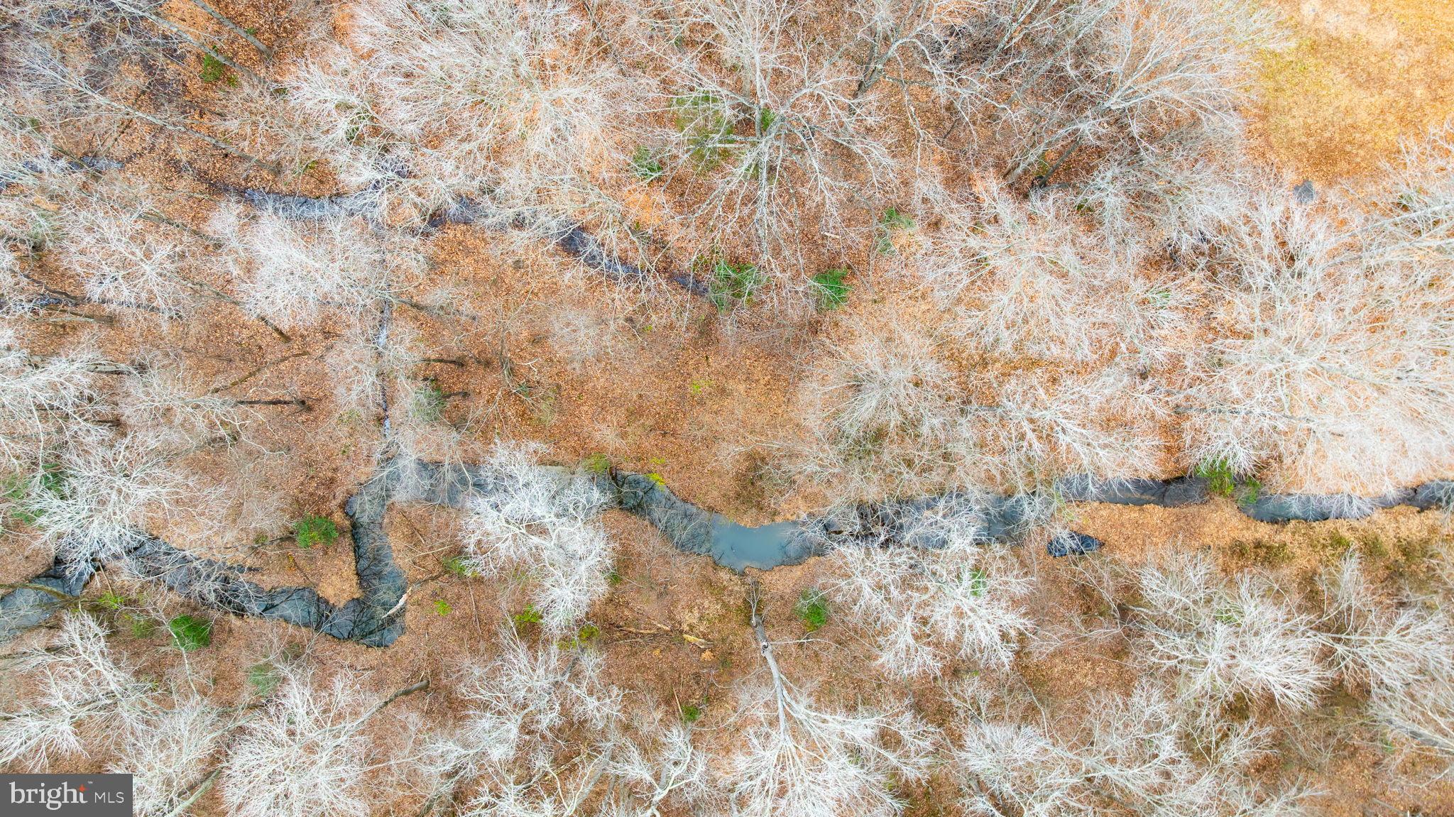 13115 Arcadia Road Woodford, VA 22580 - Photo 41 of 44 Serene winter landscape with winding stream.