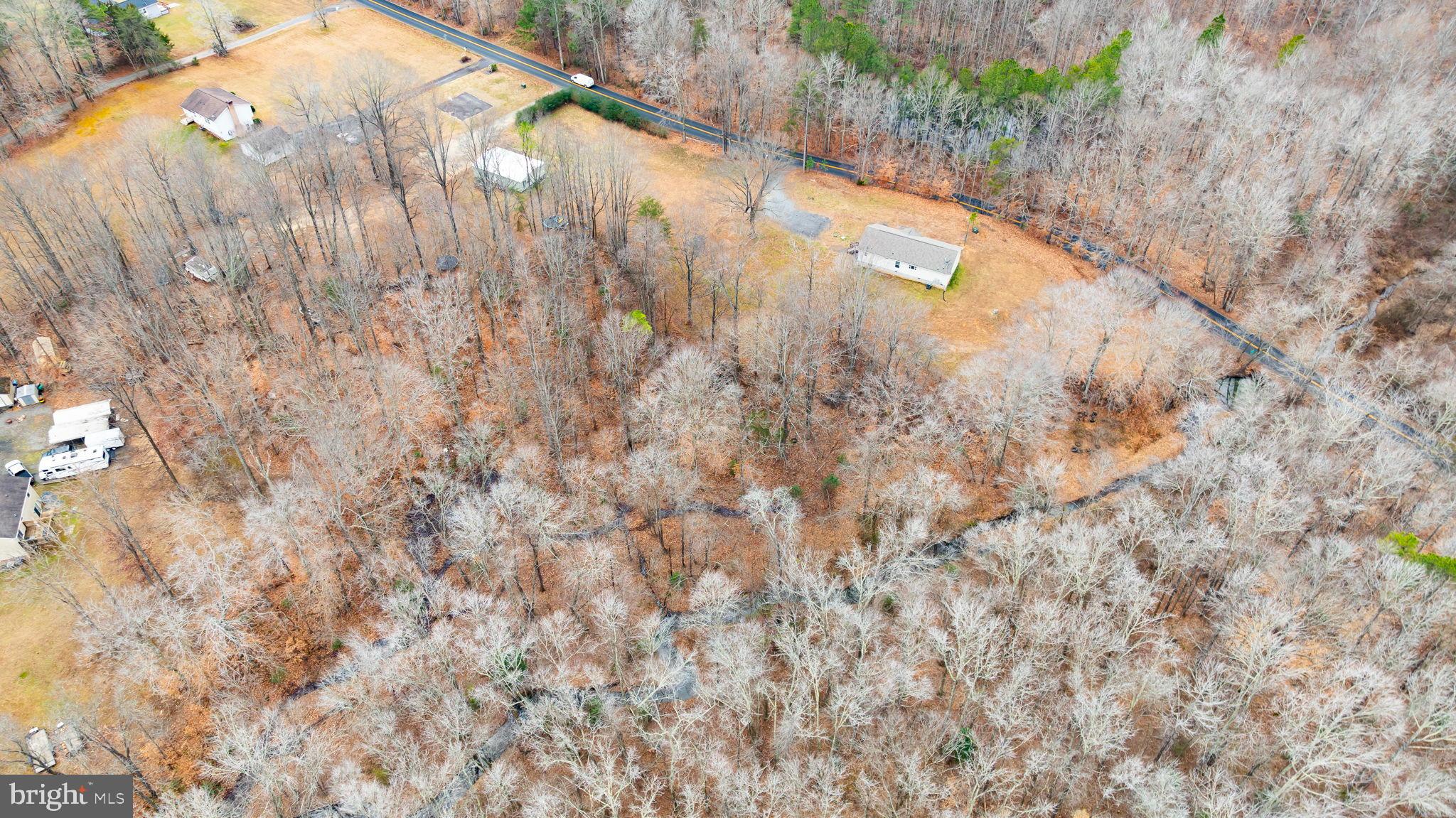 13115 Arcadia Road Woodford, VA 22580 - Photo 42 of 44 Serene woodland retreat with scattered homes.
